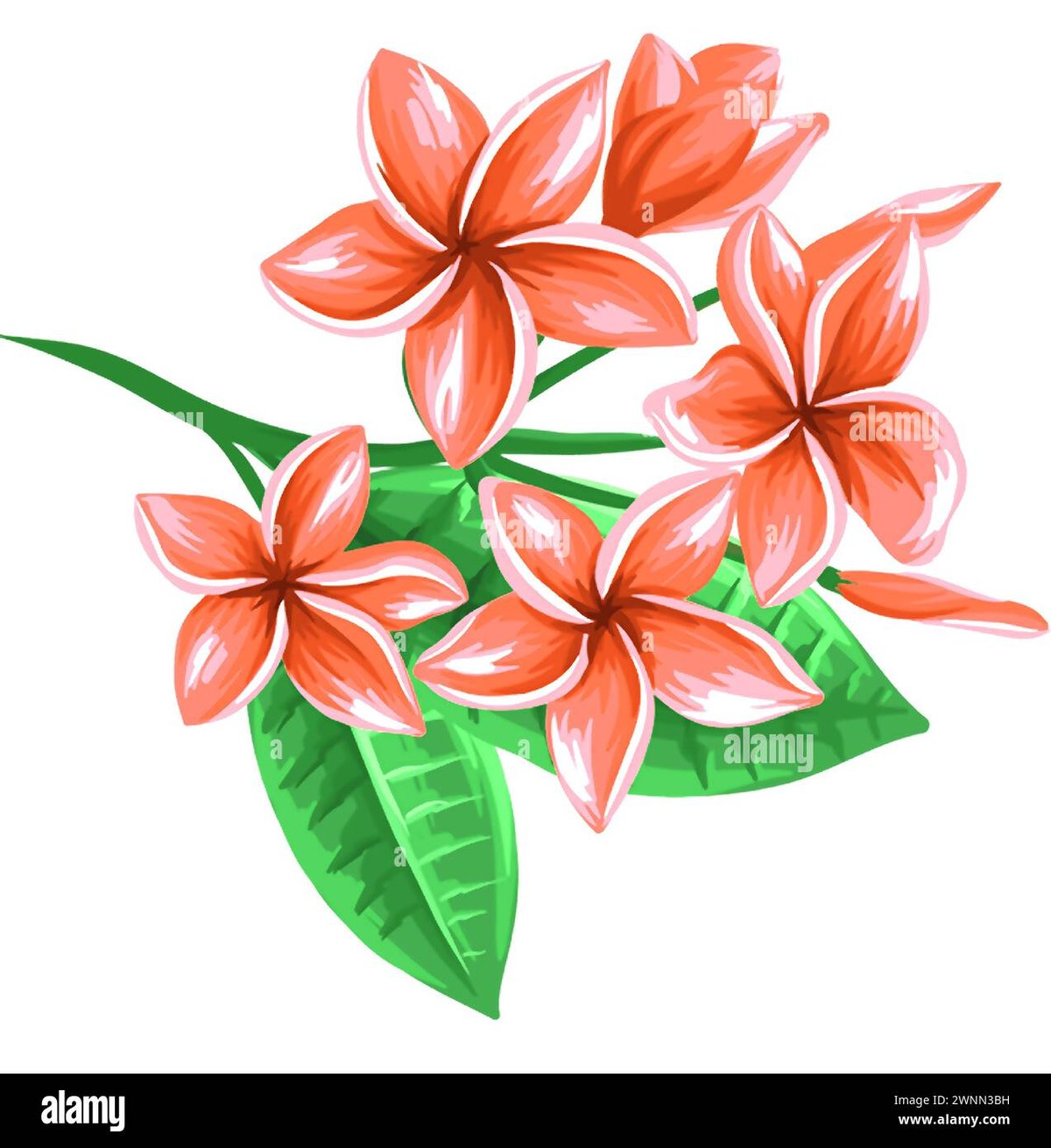 Choosing The Right Digital Synthesizer: A 2025 Buying Guide